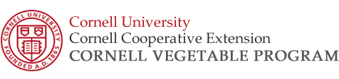 Cornell Vegetable Program